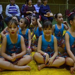 FESTIVAL DE GINÁSTICA 2017