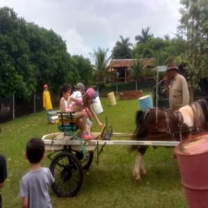 FAZENDO FAZENDA 2017