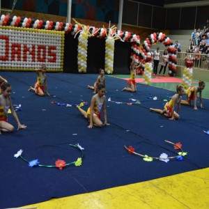 FESTIVAL DE GINÁSTICA 2017