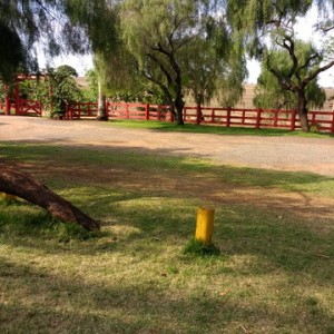 FAZENDO FAZENDA 1º ANO -  2018