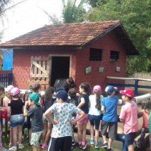 FAZENDO FAZENDA 2º ANO -  2018