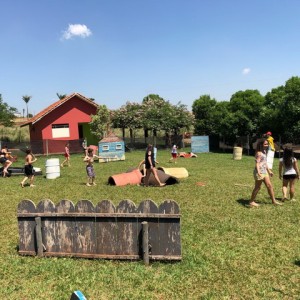 FAZENDO FAZENDA 2017