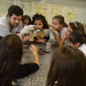 AULA NO LABORATÓRIO SOBRE ANIMAIS VERTEBRADOS E INVERTEBRADOS