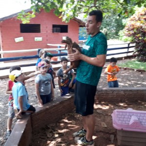 FAZENDO FAZENDA 1º ANO -  2018