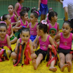 FESTIVAL DE GINÁSTICA 2017