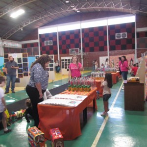 V MOSTRA DE TRABALHOS DA EDUCAÇÃO INFANTIL