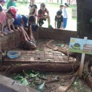 FAZENDO FAZENDA 2º ANO -  2018