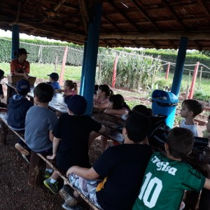 FAZENDO FAZENDA 2º ANO -  2018