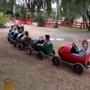 FAZENDO FAZENDA 2º ANO -  2018