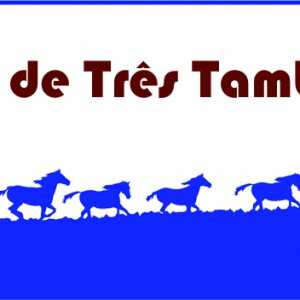 CAMPEÃO PARANAENSE DE TRÊS TAMBORES