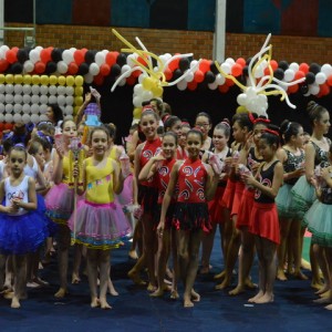 FESTIVAL DE GINÁSTICA 2017