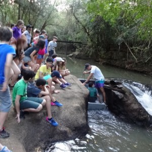 VIAGEM DE ESTUDO AO SÍTIO DO CARROÇÃO