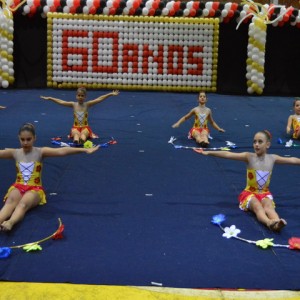 FESTIVAL DE GINÁSTICA 2017