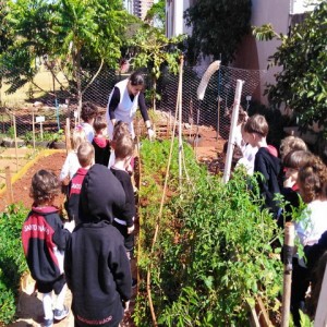 VISITA AO LABORATÓRIO: EXPLORANDO BICHINHOS DE JARDIM