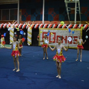 FESTIVAL DE GINÁSTICA 2017