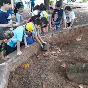 FAZENDO FAZENDA 1º ANO -  2018