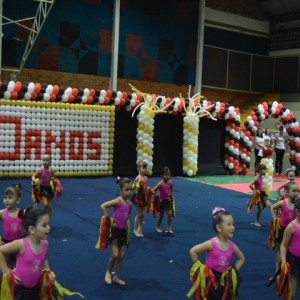 FESTIVAL DE GINÁSTICA 2017