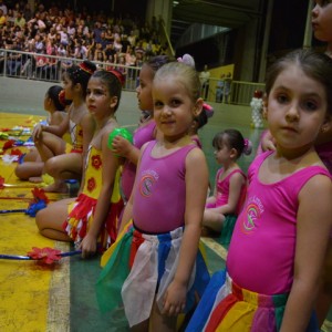 FESTIVAL DE GINÁSTICA 2017