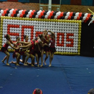 FESTIVAL DE GINÁSTICA 2017