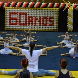 FESTIVAL DE GINÁSTICA 2017