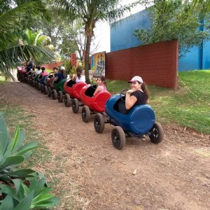 FAZENDO FAZENDA 4º ANO -  2018