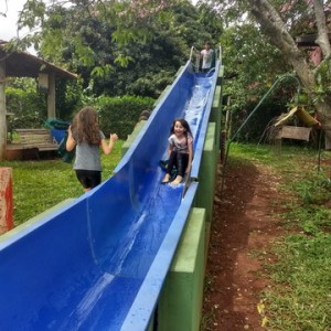 FAZENDO FAZENDA 2º ANO -  2018