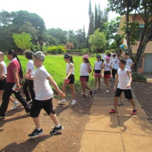 DDC - DIA DE CONVIVÊNCIA 2017