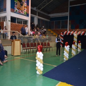 FESTIVAL DE GINÁSTICA 2017