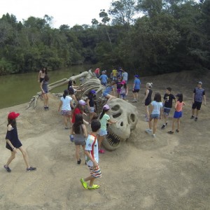 VIAGEM DE ESTUDO AO SÍTIO DO CARROÇÃO