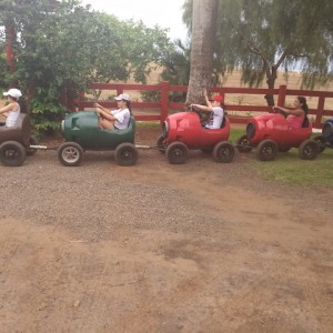 FAZENDO FAZENDA 3º ANO -  2018