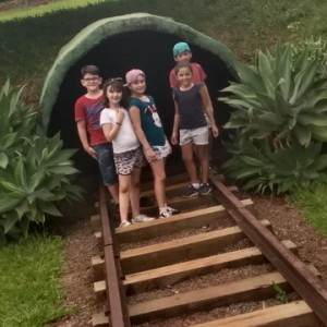 FAZENDO FAZENDA 3º ANO -  2018