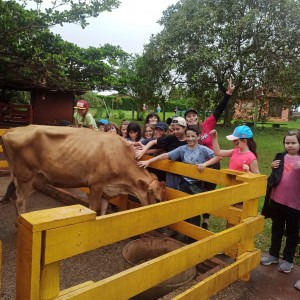 CSI - PASSEIO FAZENDO FAZENDA 2022