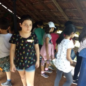 FAZENDO FAZENDA 2º ANO -  2018