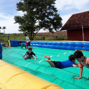 FAZENDO FAZENDA 2º ANO -  2018