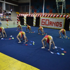 FESTIVAL DE GINÁSTICA 2017