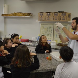 AULA NO LABORATÓRIO SOBRE ANIMAIS VERTEBRADOS E INVERTEBRADOS