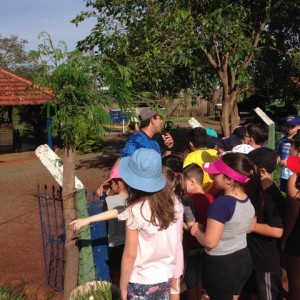 FAZENDO FAZENDA 3º ANO -  2018