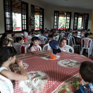 FAZENDO FAZENDA 2º ANO -  2018