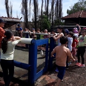 FAZENDO FAZENDA 2º ANO -  2018