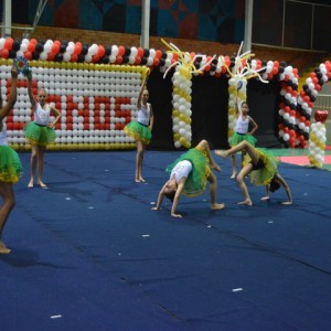 FESTIVAL DE GINÁSTICA 2017