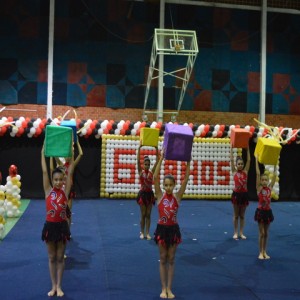 FESTIVAL DE GINÁSTICA 2017