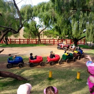 FAZENDO FAZENDA 1º ANO -  2018