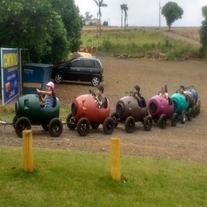 FAZENDO FAZENDA 2017