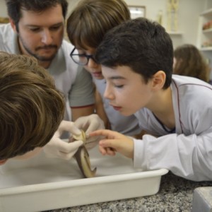 AULA NO LABORATÓRIO SOBRE ANIMAIS VERTEBRADOS E INVERTEBRADOS