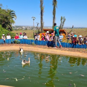 CSI - PASSEIO FAZENDO FAZENDA 2022