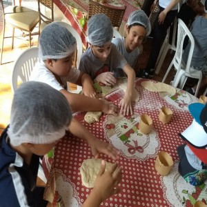 FAZENDO FAZENDA 2017