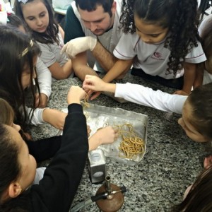 VISITA AO LABORATÓRIO DE CIÊNCIAS