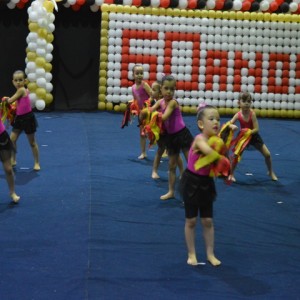 FESTIVAL DE GINÁSTICA 2017