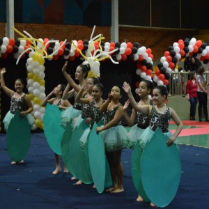 FESTIVAL DE GINÁSTICA 2017