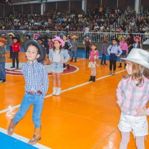 FESTA JUNINA - É O ARRAIÁ DO SANTÃO 2024